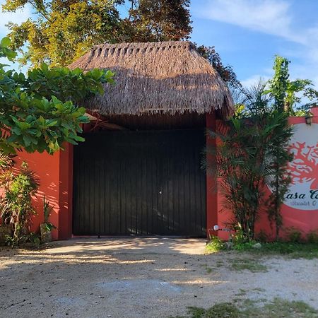 Hotel Casa Coral Bacalar Exteriér fotografie